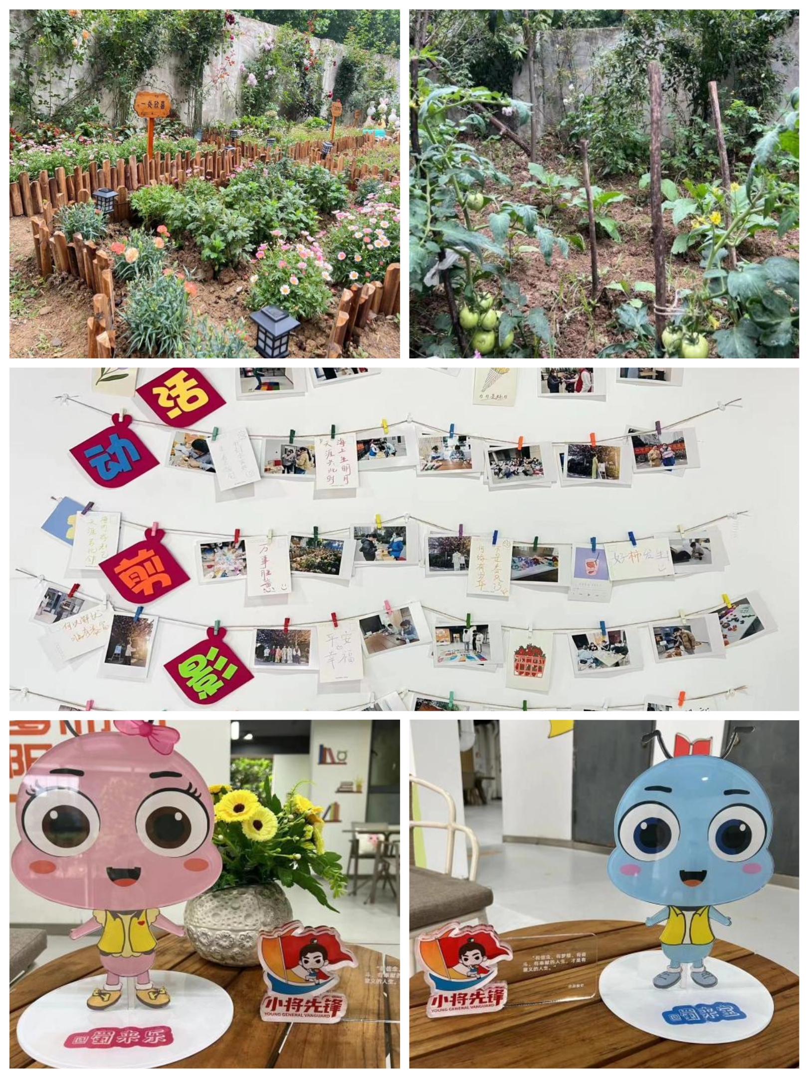 NG电子游戏·(中国区)官方网站